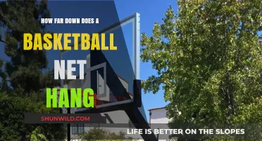 The Mystery of Basketball Net Height Revealed