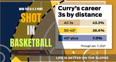 The Distance: Unveiling the NBA's Three-Point Line