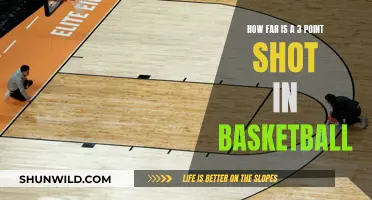 The Evolution of the 3-Point Line in Basketball