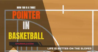 The Evolution of the Three-Point Line in Basketball