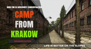 Auschwitz Concentration Camp's Proximity to Krakow: A Travel Guide