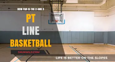 Basketball Court Geometry: 2-Point and 3-Point Lines Explored