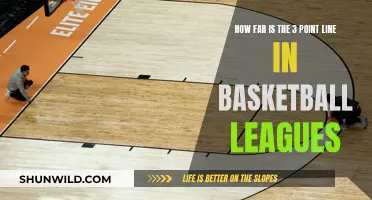 The Evolution of the 3-Point Line in Basketball