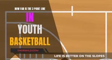 Youth Hoops: Unveiling the 3-Point Distance Mystery