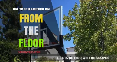 Basketball Rim Height: How High is Too High?