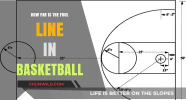The Basketball Foul Line: How Far?