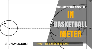 Free Throw Line Distance in Basketball Explained