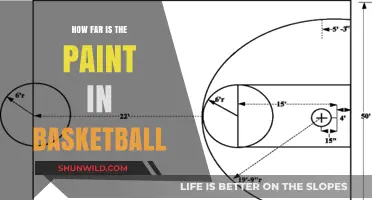 The Paint: Defining Basketball's Critical Zone