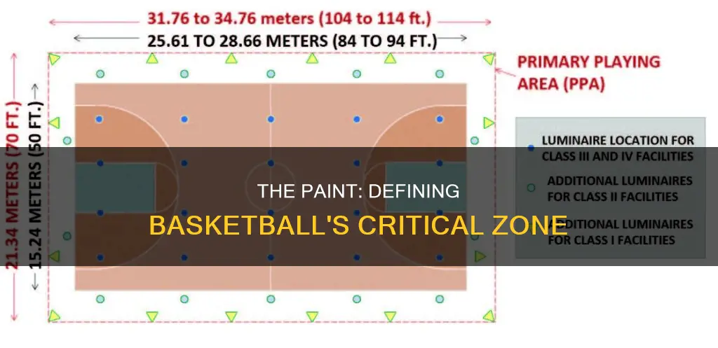how far is the paint in basketball