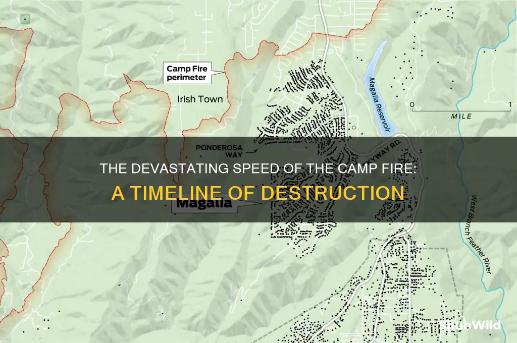 how fast camp fire was