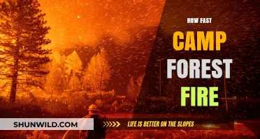 How Fast Can Camp Forest Fires Spread and What to Do