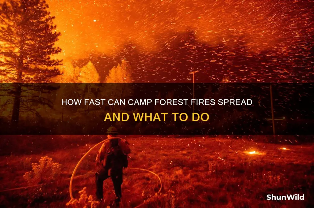 how fast camp forest fire