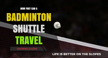 The Speed of a Badminton Smash