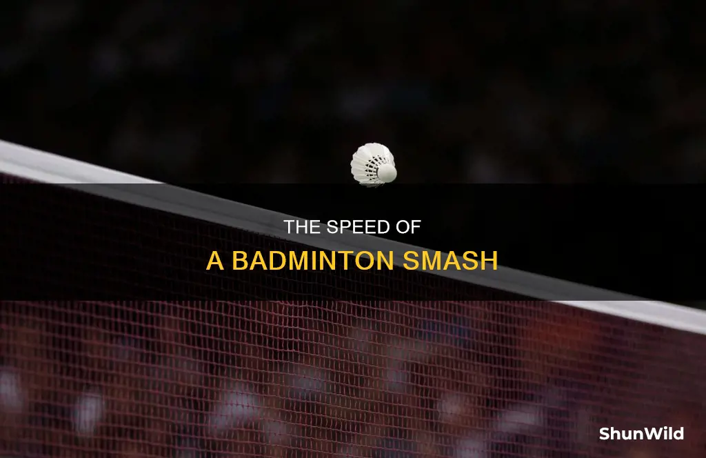 how fast can a badminton shuttle travel