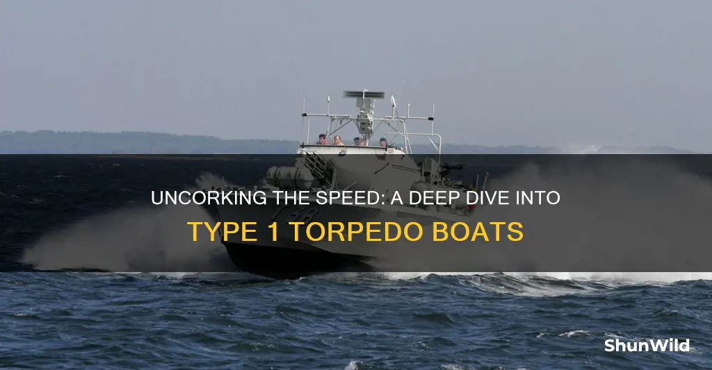 how fast did tyoe 1 you boat torpedoes go