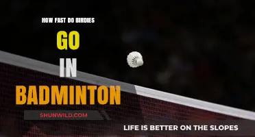 Badminton Birdies: Understanding Their Speed and Performance