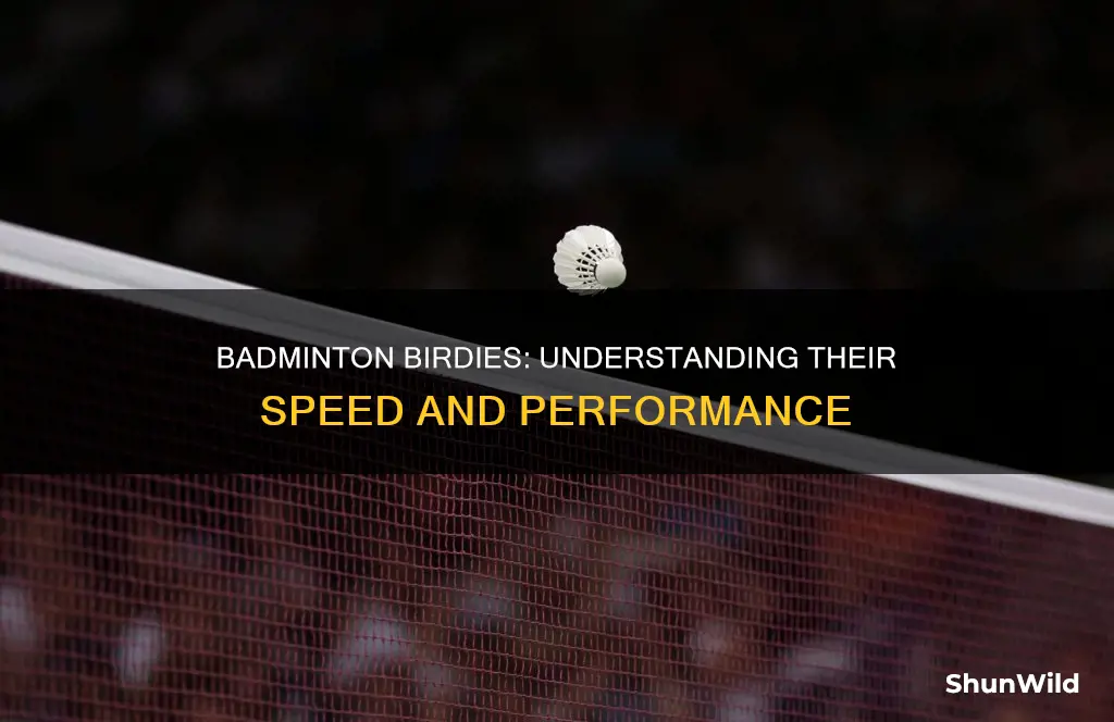 how fast do birdies go in badminton