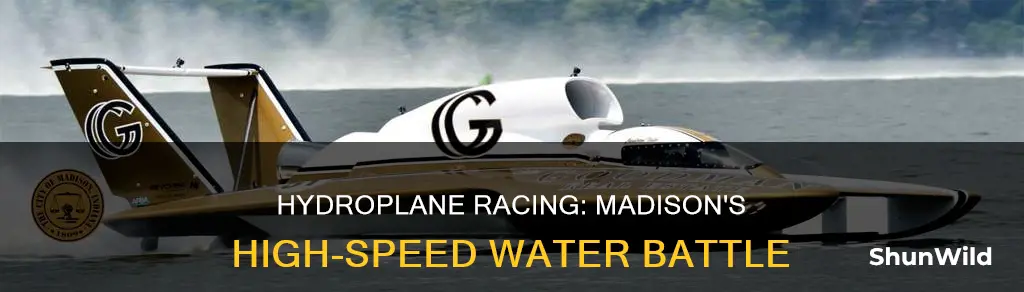 how fast do hydroplane boat racing go in madison in