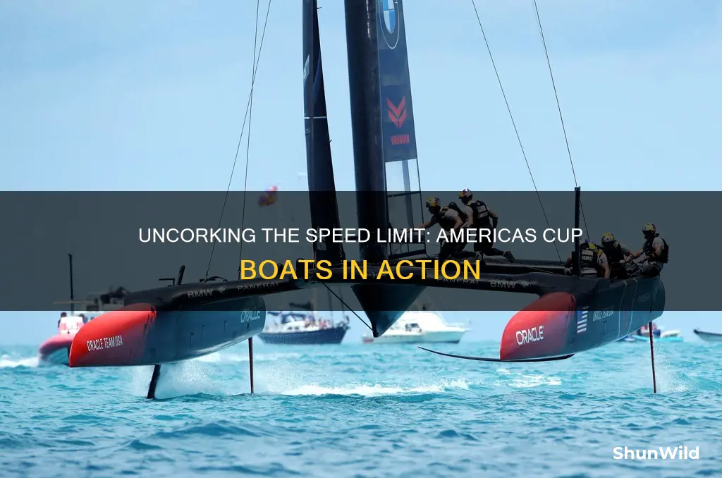 how fast do the boat on americas cup go