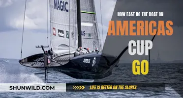 America's Cup Boats: Unbelievably Fast!