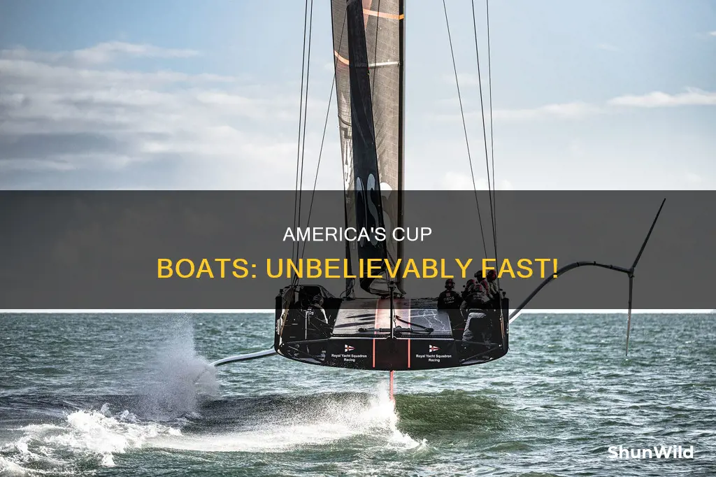 how fast do the boat on americas cup go