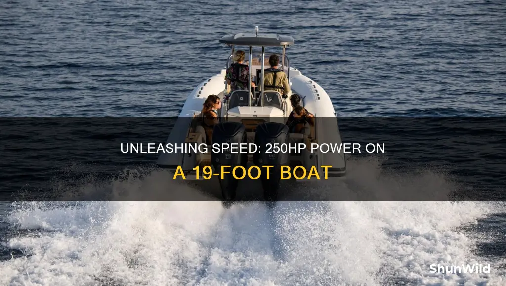 how fast does 19ft boat with 250hp go