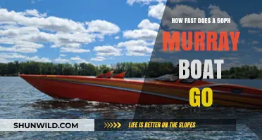 Unleash the Speed: 50PH Murray Boat's Velocity Unveiled