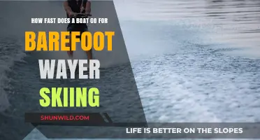 Unleash the Speed: Barefoot Water Skiing's Swift Boat Adventure