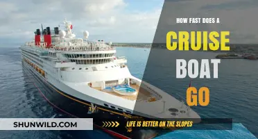 Unveiling the Speed Limits: Cruise Boats' Swift Journey