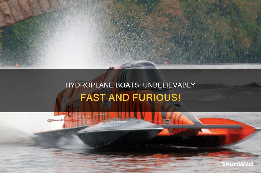 how fast does a hydroplane boat go