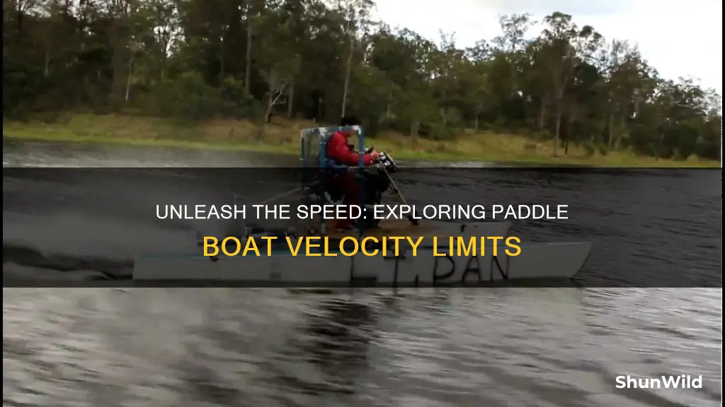 how fast does a paddle boat go