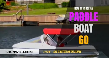 Exploring the Top Speeds of Paddle Boats