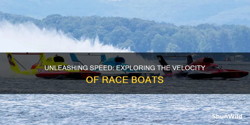 how fast does a race boat go