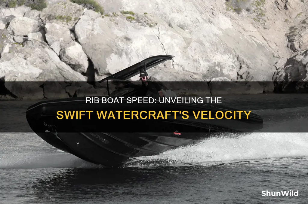 how fast does a rib boat go