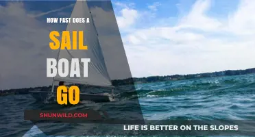 Unraveling the Wind's Secrets: Sailboat Speed Explained