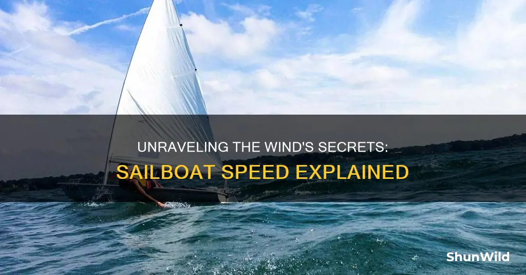 how fast does a sail boat go