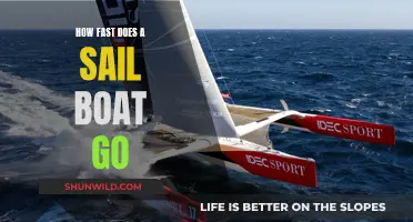 Exploring the Exciting Speeds of Sailboats
