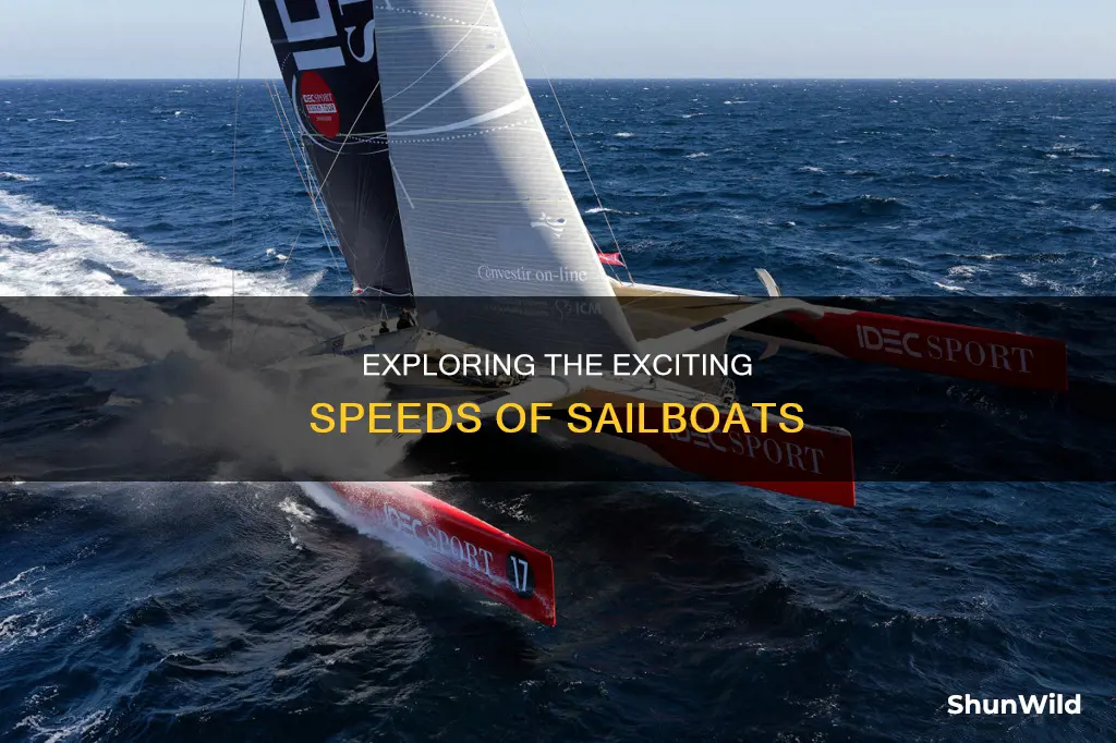 how fast does a sail boat go