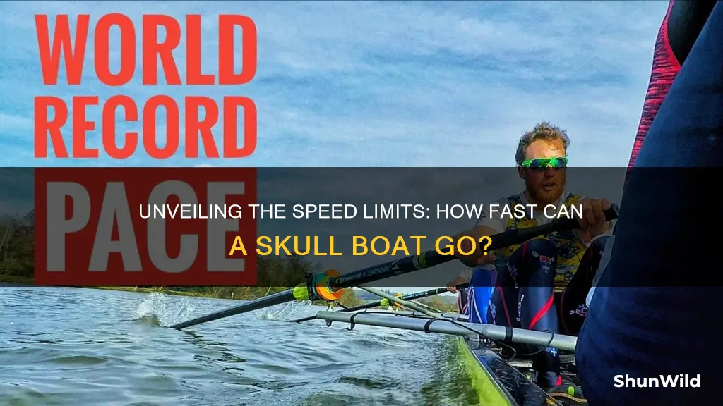 how fast does a scull boat go