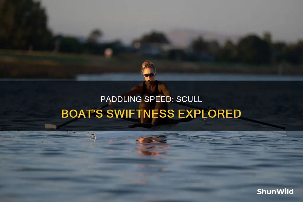 how fast does a scull boat go