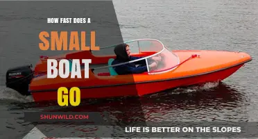 Unleashing the Speed: Small Boats, Big Adventure