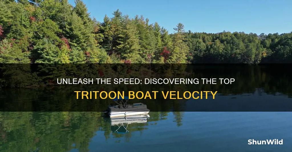 how fast does a tritoon boat go