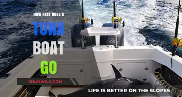 Unleash the Power: Tuna Boat Speed Secrets Revealed