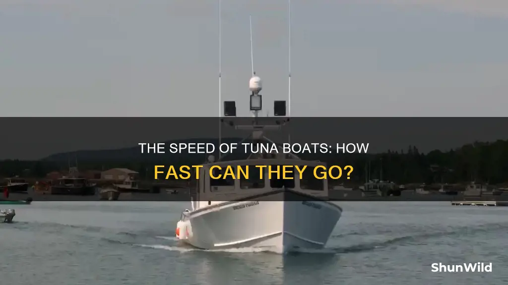 how fast does a tuna boat go