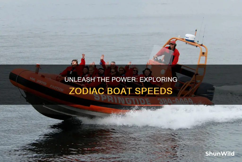 how fast does a zodiac boat go