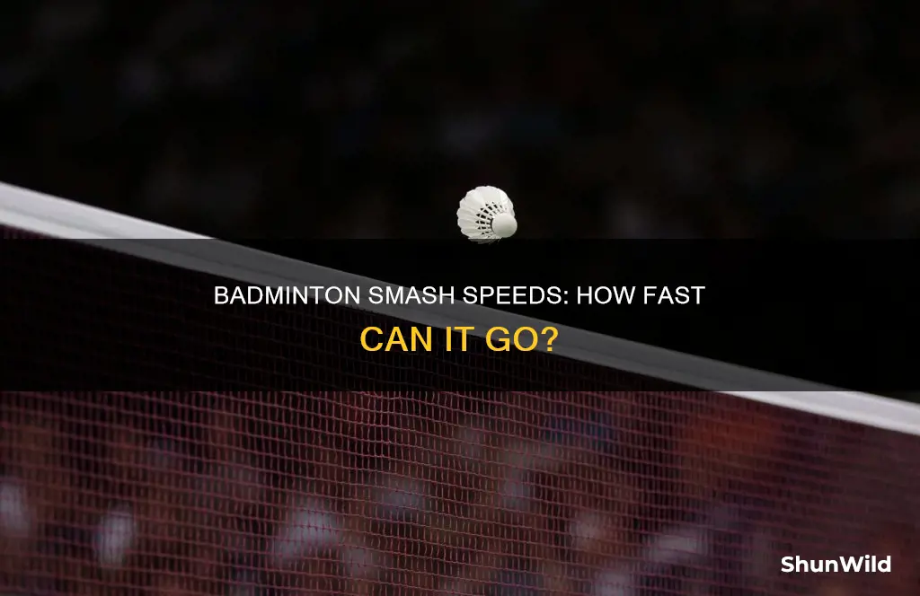 how fast does badminton fly