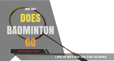 The Speed of Badminton: How Quick is the Game?