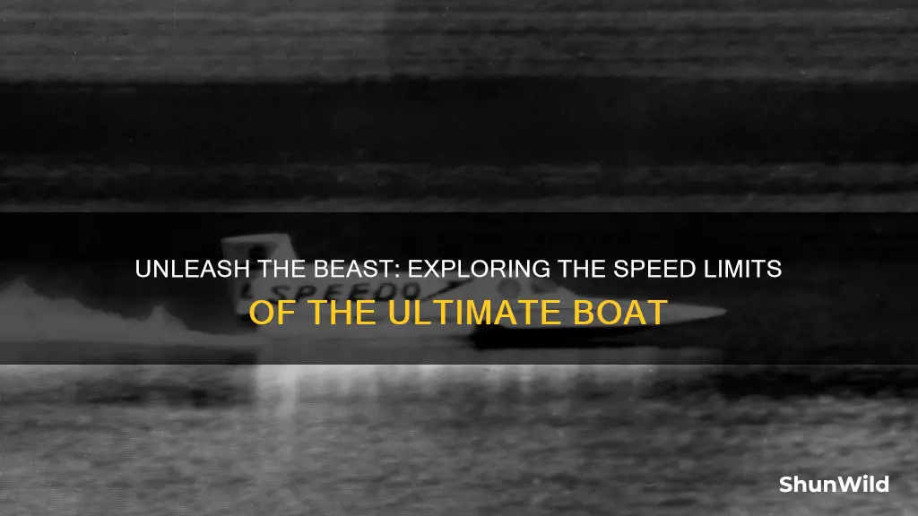 how fast does the beast boat go