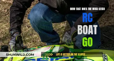 The Speed of Miss Geico RC Boat