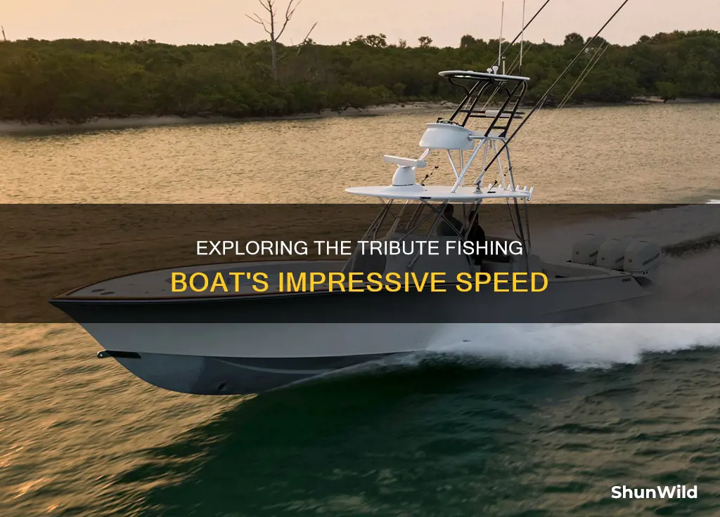 how fast does the tribute fishing boat go